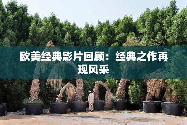 欧美经典影片回顾：经典之作再现风采