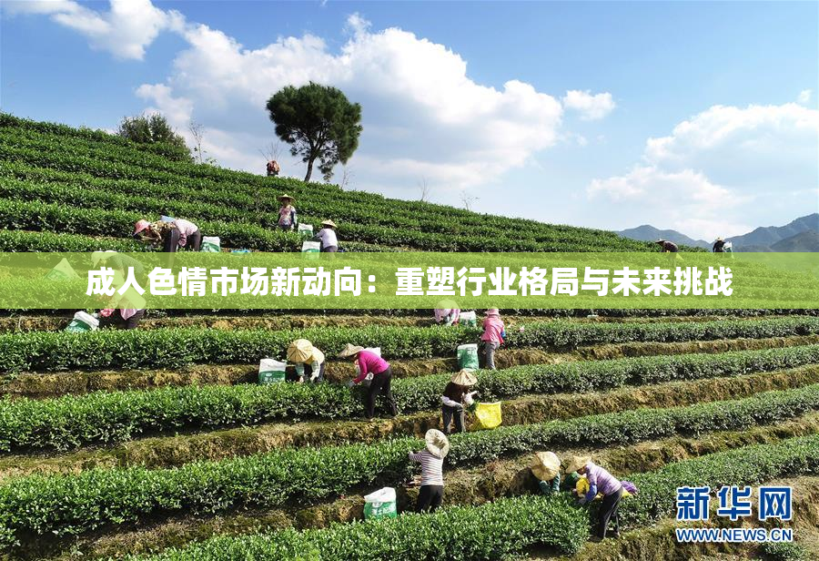 成人色情市场新动向：重塑行业格局与未来挑战