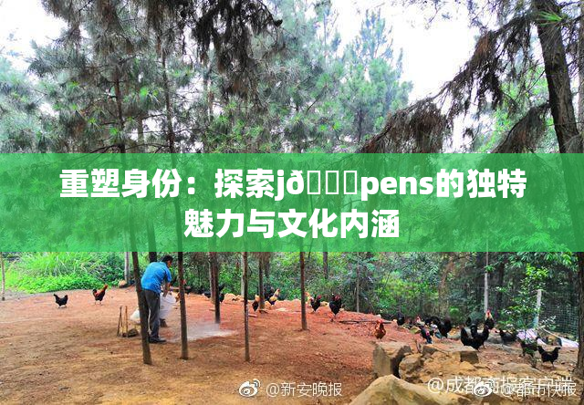 重塑身份：探索j🈚pens的独特魅力与文化内涵