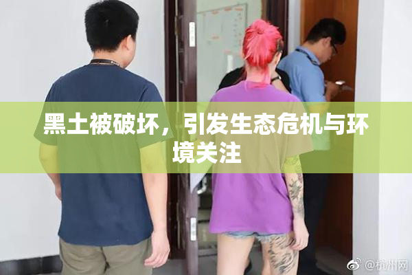 黑土被破坏，引发生态危机与环境关注