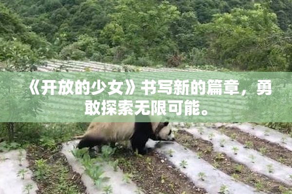 《开放的少女》书写新的篇章，勇敢探索无限可能。
