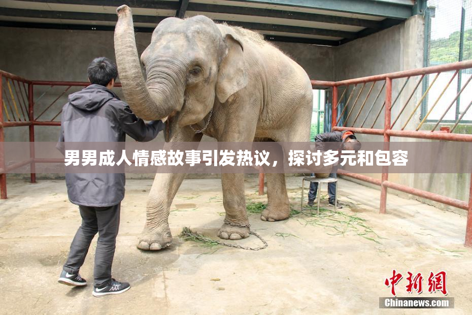 男男成人情感故事引发热议，探讨多元和包容