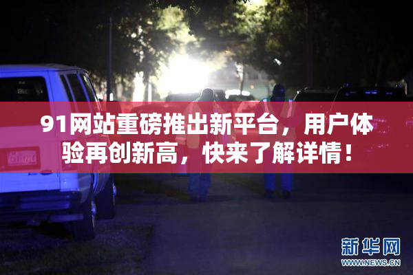 91网站重磅推出新平台，用户体验再创新高，快来了解详情！