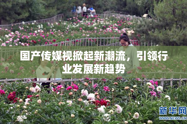 国产传媒视掀起新潮流，引领行业发展新趋势
