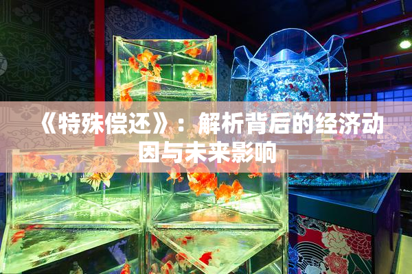 《特殊偿还》：解析背后的经济动因与未来影响