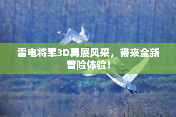 雷电将军3D再展风采，带来全新冒险体验！