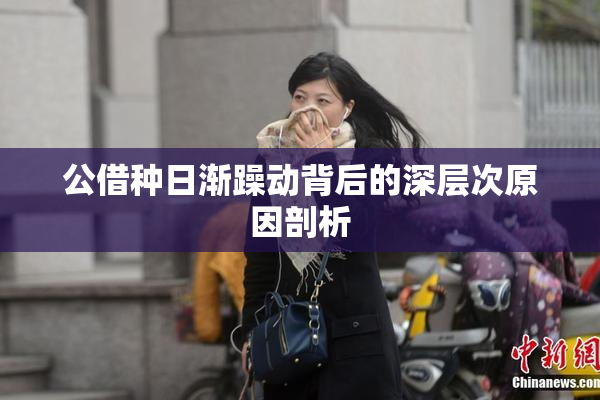 公借种日渐躁动背后的深层次原因剖析
