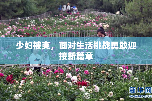 少妇被爽，面对生活挑战勇敢迎接新篇章