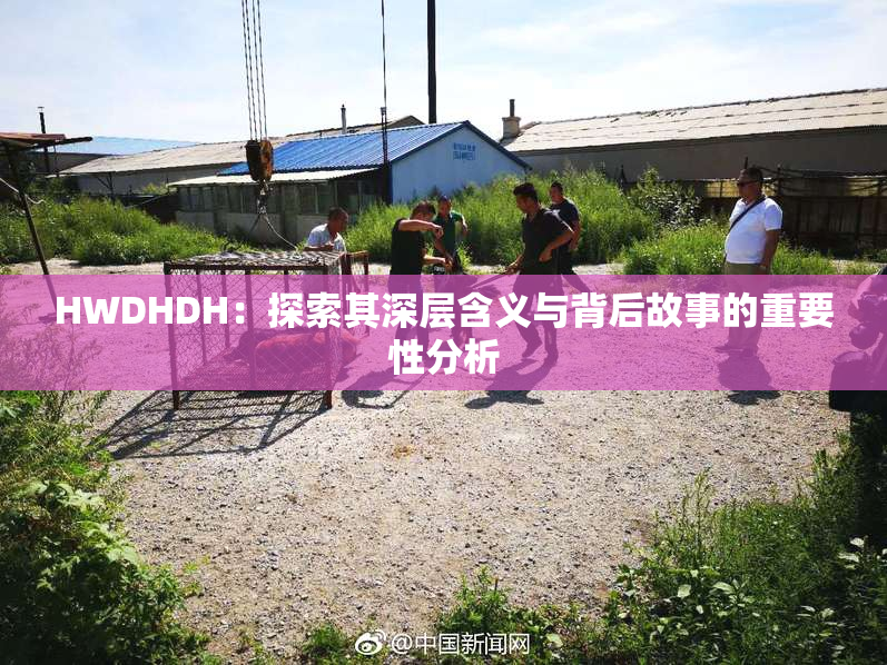 HWDHDH：探索其深层含义与背后故事的重要性分析