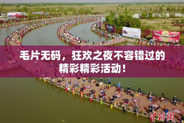 毛片无码，狂欢之夜不容错过的精彩精彩活动！