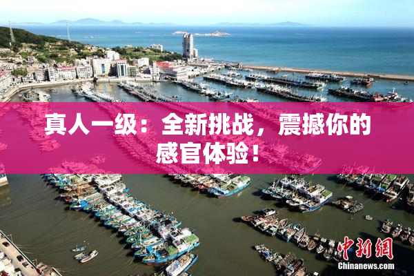 真人一级：全新挑战，震撼你的感官体验！