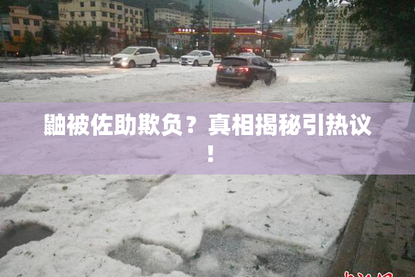 鼬被佐助欺负？真相揭秘引热议！