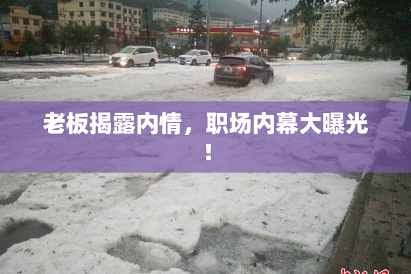 老板揭露内情，职场内幕大曝光！