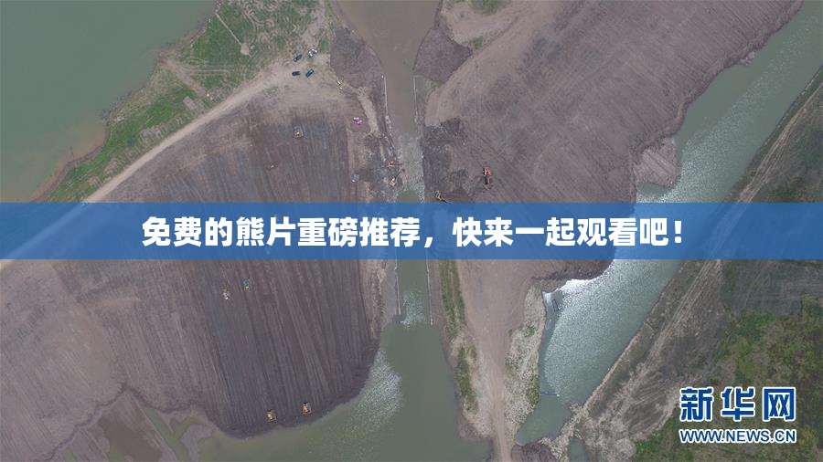 免费的熊片重磅推荐，快来一起观看吧！
