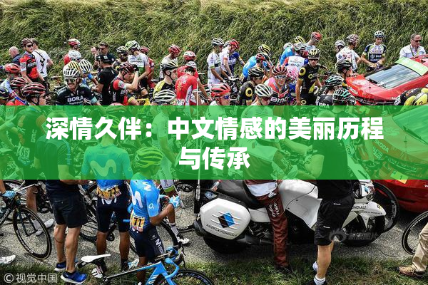 深情久伴：中文情感的美丽历程与传承