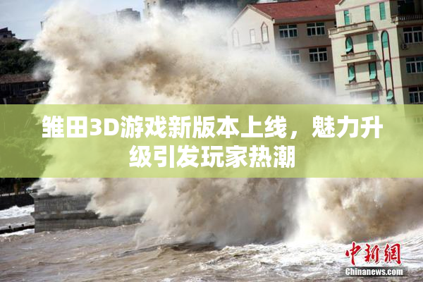 雏田3D游戏新版本上线，魅力升级引发玩家热潮