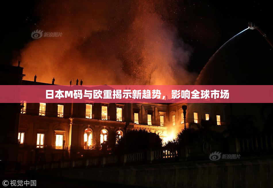 日本M码与欧重揭示新趋势，影响全球市场