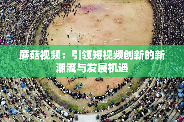 蘑菇视频：引领短视频创新的新潮流与发展机遇