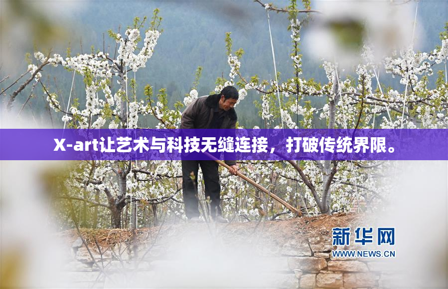 X-art让艺术与科技无缝连接，打破传统界限。