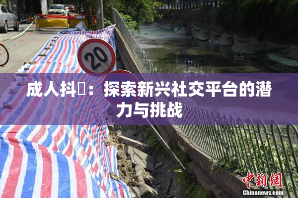 成人抖抈：探索新兴社交平台的潜力与挑战