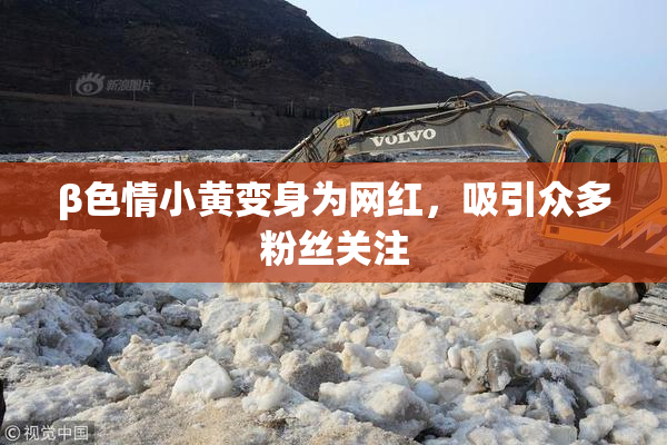 β色情小黄变身为网红，吸引众多粉丝关注