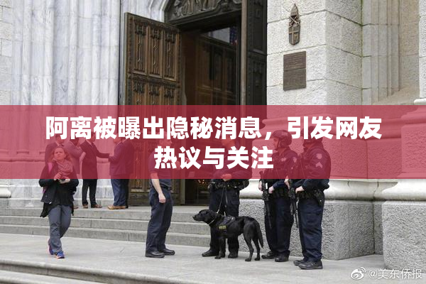 阿离被曝出隐秘消息，引发网友热议与关注