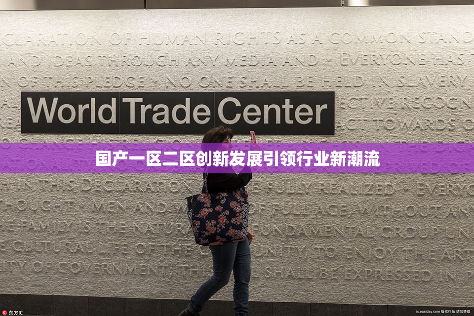 国产一区二区创新发展引领行业新潮流