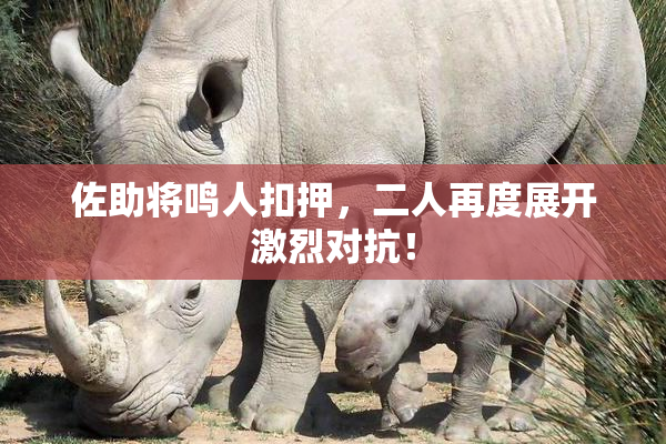 佐助将鸣人扣押，二人再度展开激烈对抗！