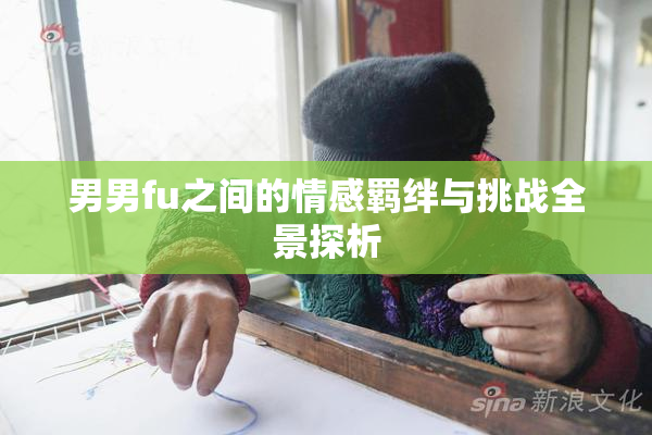 男男fu之间的情感羁绊与挑战全景探析