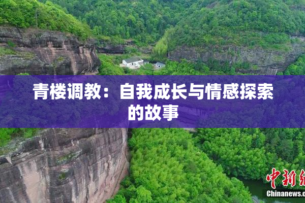 青楼调教：自我成长与情感探索的故事