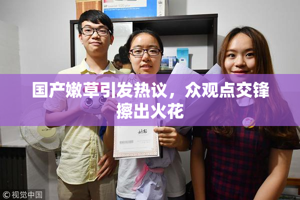 国产嫩草引发热议，众观点交锋擦出火花