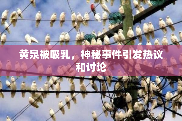 黄泉被吸乳，神秘事件引发热议和讨论