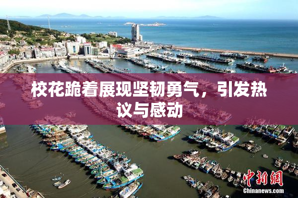 校花跪着展现坚韧勇气，引发热议与感动