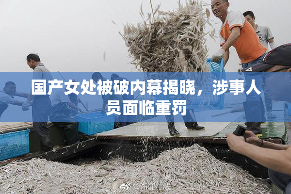 国产女处被破内幕揭晓，涉事人员面临重罚
