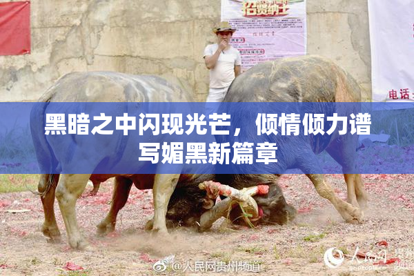 黑暗之中闪现光芒，倾情倾力谱写媚黑新篇章