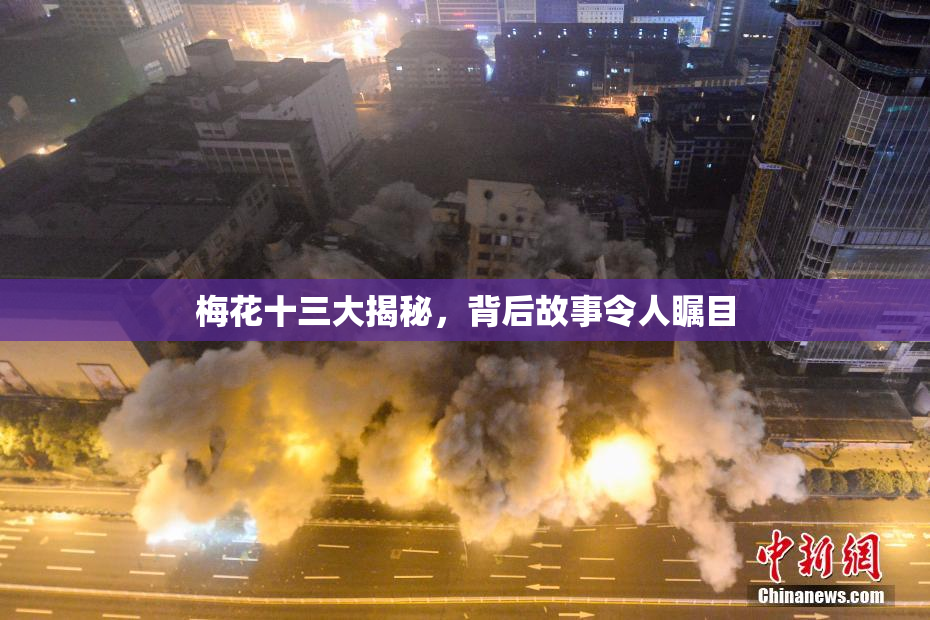 梅花十三大揭秘，背后故事令人瞩目