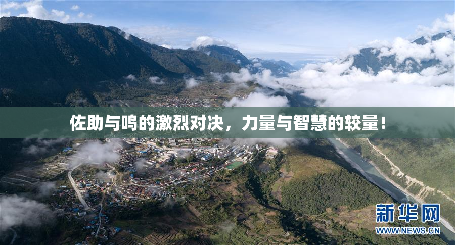 佐助与鸣的激烈对决，力量与智慧的较量！