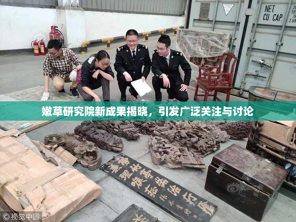 嫩草研究院新成果揭晓，引发广泛关注与讨论