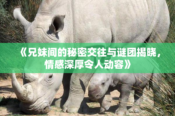 《兄妹间的秘密交往与谜团揭晓，情感深厚令人动容》