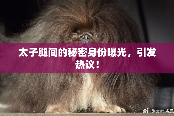 太子腿间的秘密身份曝光，引发热议！