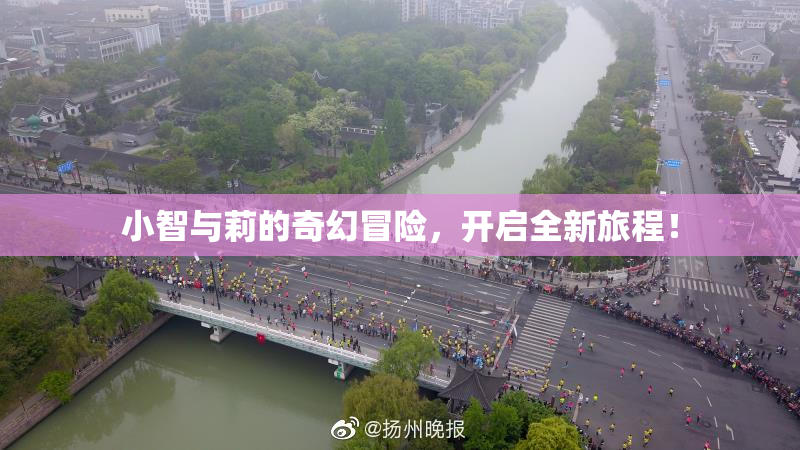 小智与莉的奇幻冒险，开启全新旅程！