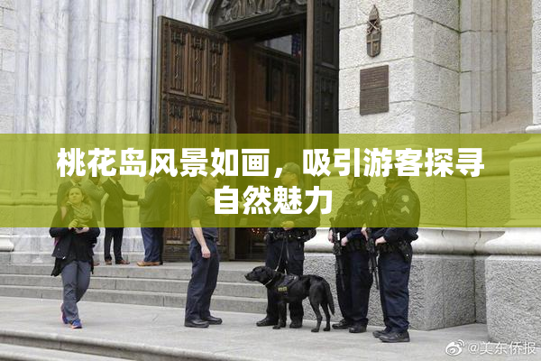 桃花岛风景如画，吸引游客探寻自然魅力
