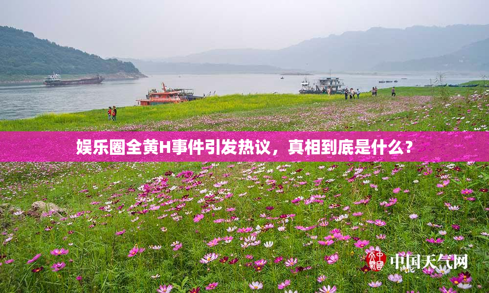 娱乐圈全黄H事件引发热议，真相到底是什么？