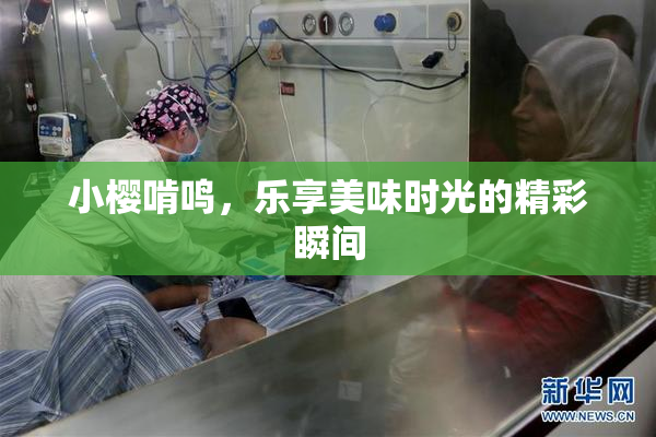 小樱啃鸣，乐享美味时光的精彩瞬间