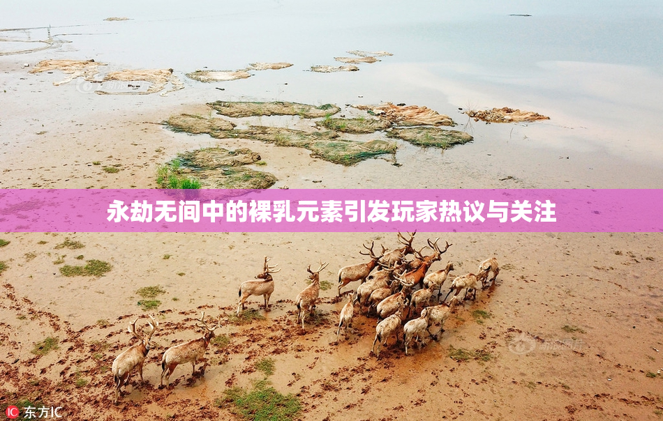 永劫无间中的裸乳元素引发玩家热议与关注