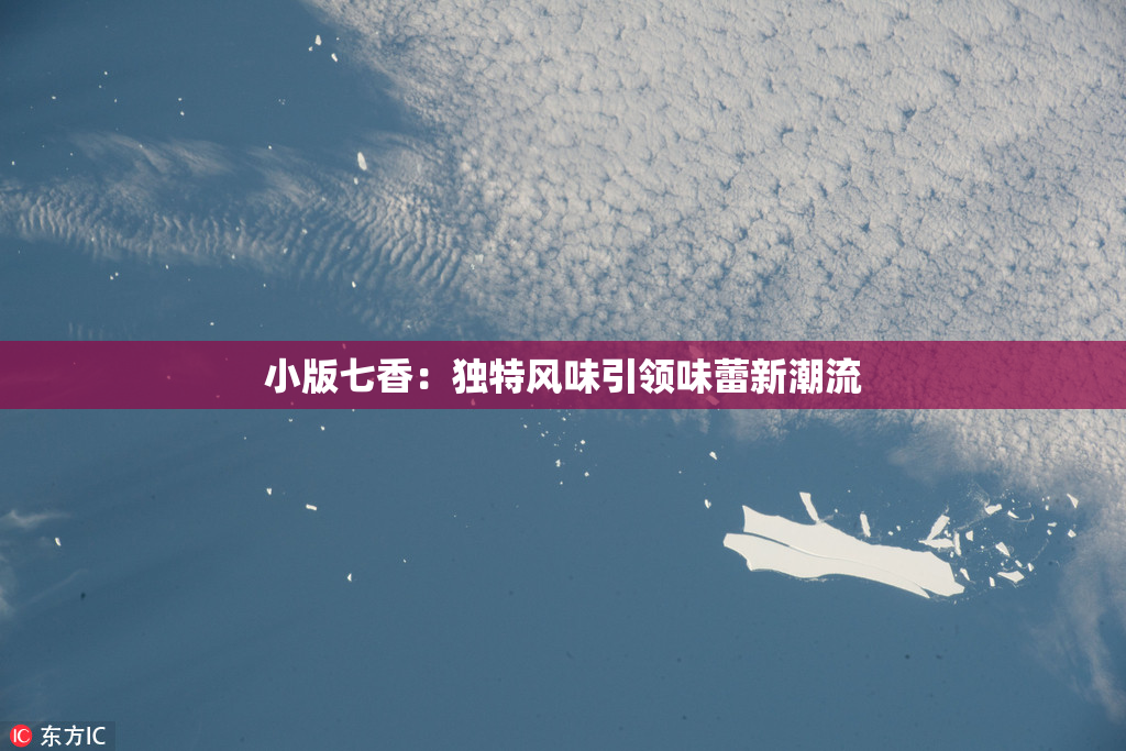 小版七香：独特风味引领味蕾新潮流