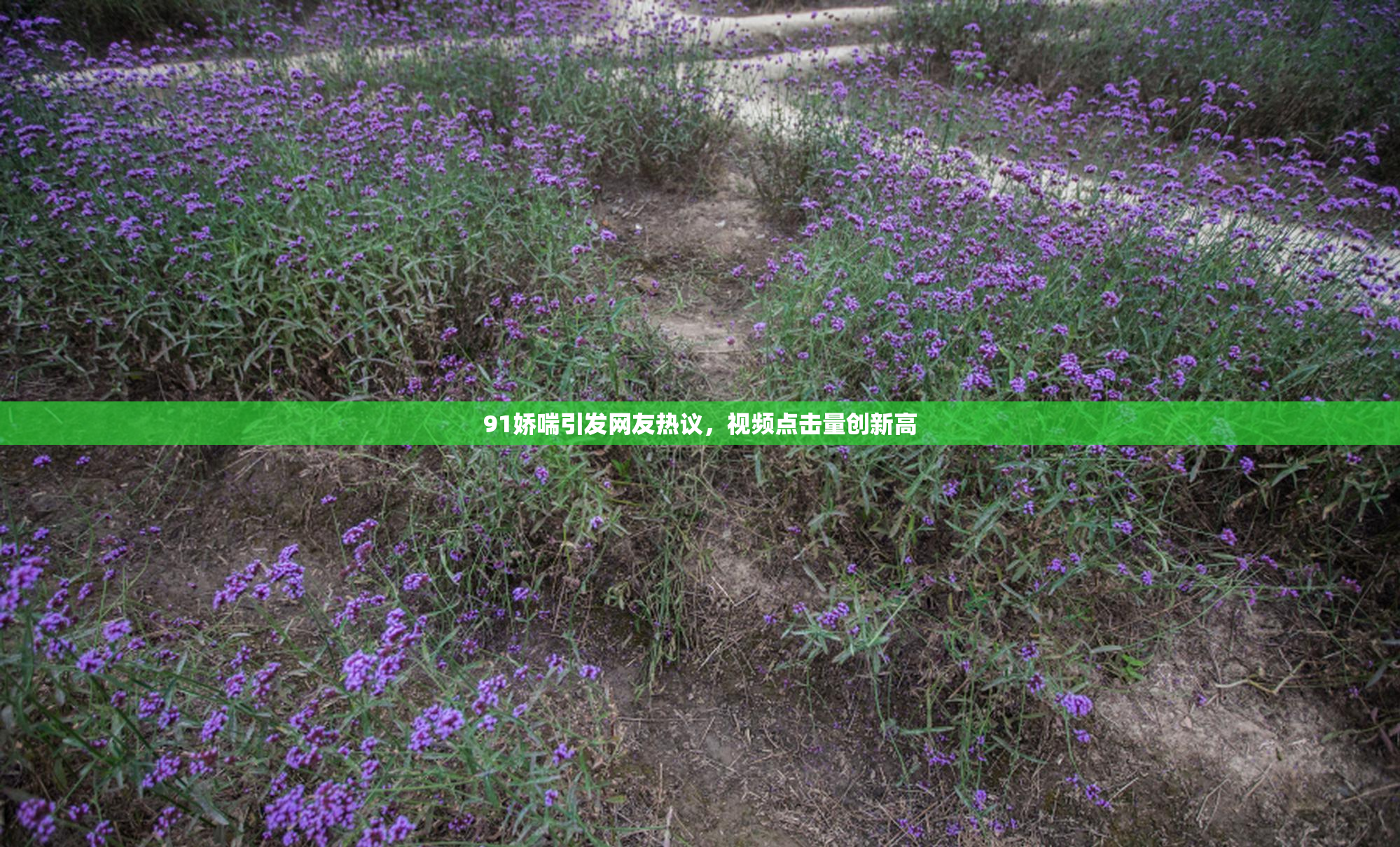 91娇喘引发网友热议，视频点击量创新高
