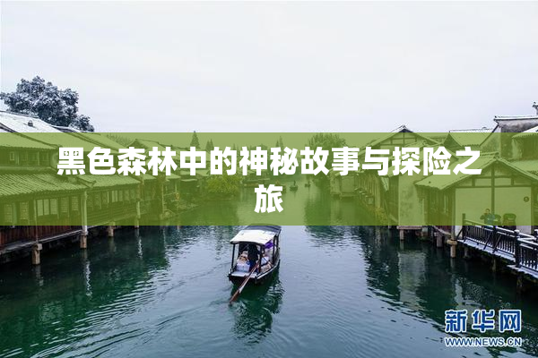 黑色森林中的神秘故事与探险之旅