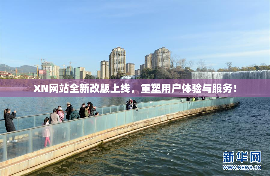 XN网站全新改版上线，重塑用户体验与服务！