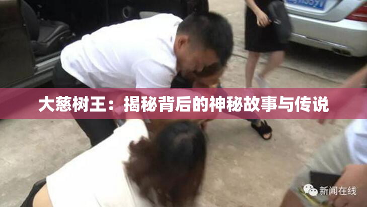 大慈树王：揭秘背后的神秘故事与传说
